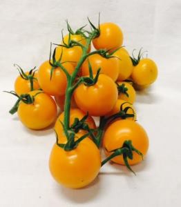 Orange Cocktail Tomatoes