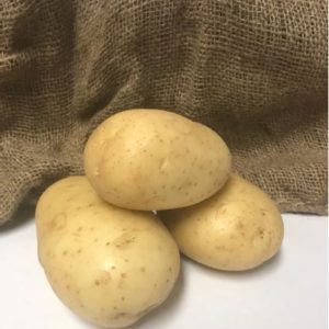Round White - 5lb Bag(s)