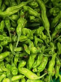 KG - Shishito Peppers