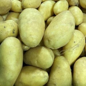 Yellow Fingerling (Large Size)