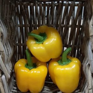 Premium Yellow Bell Peppers-AB