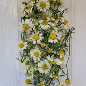 Chamomile Flowers (50 Count)