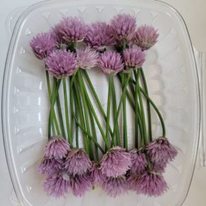 Chive Flowers (25 Count)