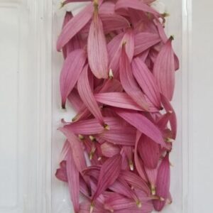 Coneflower Petals (75 Count)