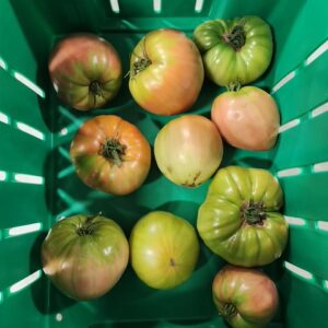 Heirloom Tomatoes (10lb Case)