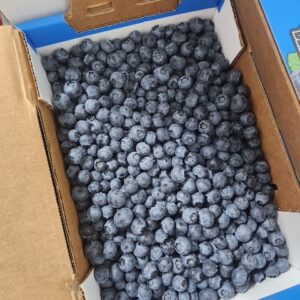 Fresh Blueberries - 5 lb BC