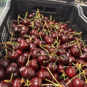 Fresh Red Cherries - BC