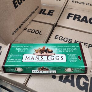 Large Eggs (Cartons)