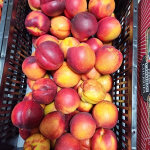 Fresh Nectarines-20lb Case