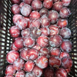 Black Plums - 20 lb - BC